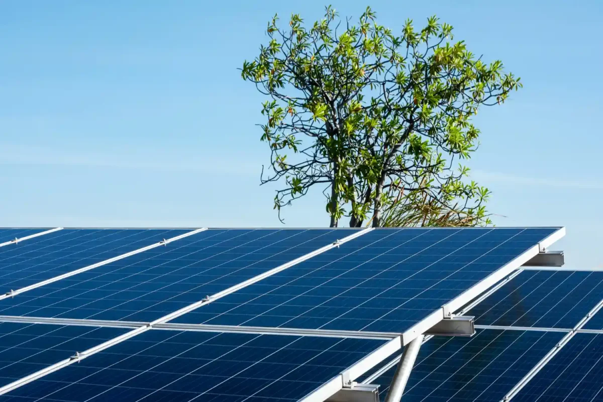 Solar panel leasing Solar panel leasing