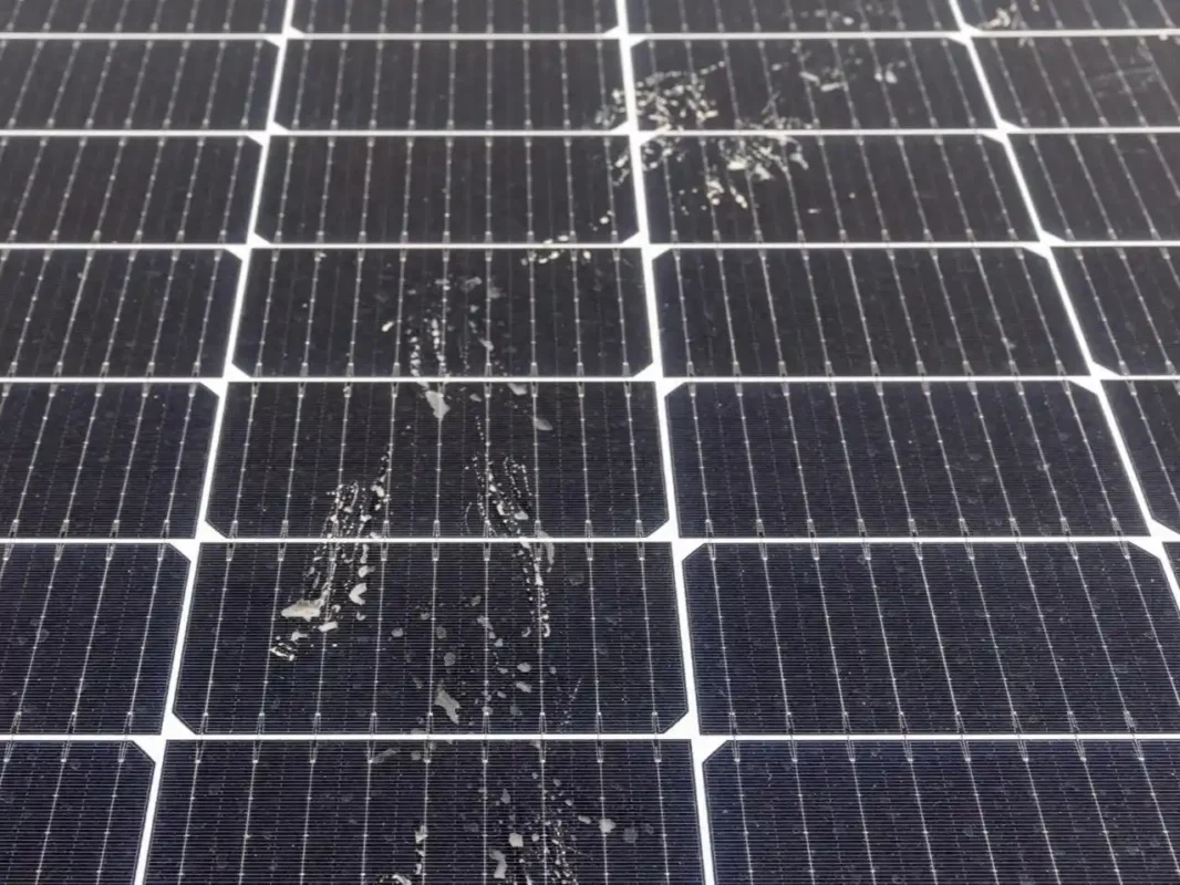 Solar panel dirt and bird droppings