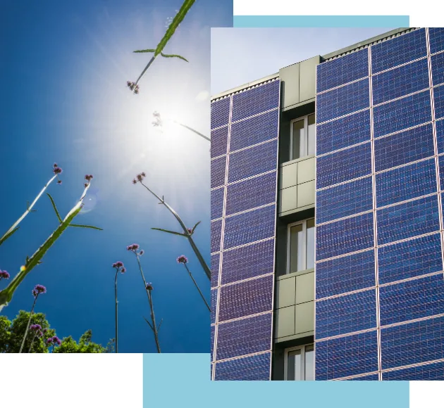 Comercial solar panels