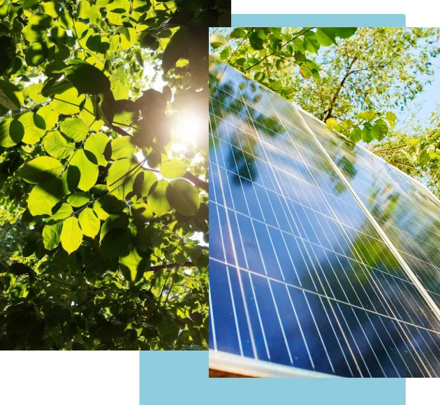 Company solar panels