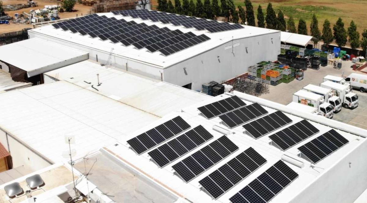 instalacion-placas-solares-industria-alimentaria